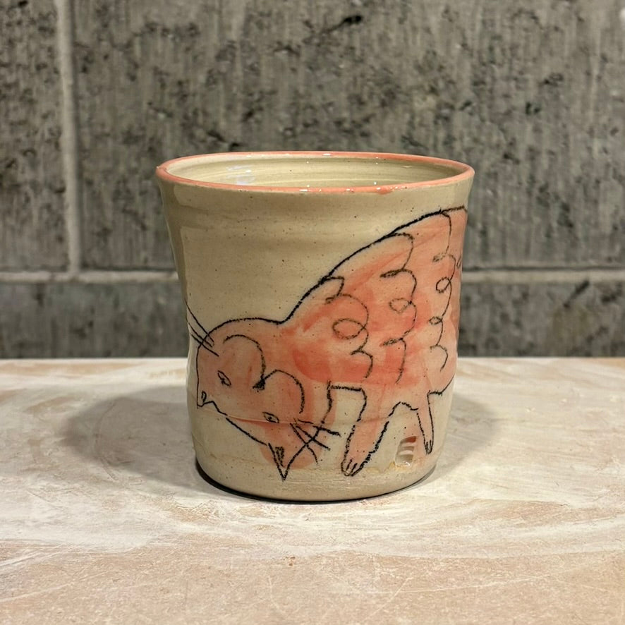 Cat Tumblers
