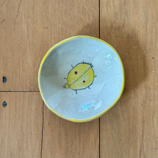 Bug Dishes