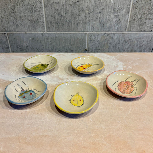 Bug Dishes